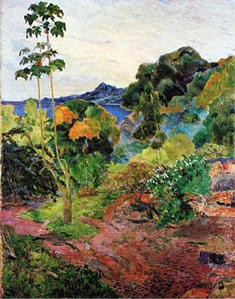 végétation tropicale,gauguin,martinique,paysage,volcan de la montagne pelée,morne orange